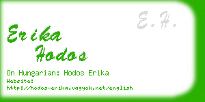 erika hodos business card